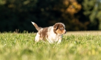 IMG-20211101-WA0025