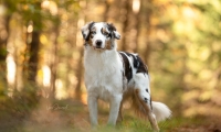IMG-20211030-WA0015